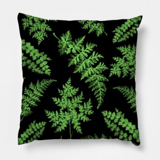 Ferns Pillow