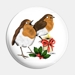 ROBIN REDBREAST Pin