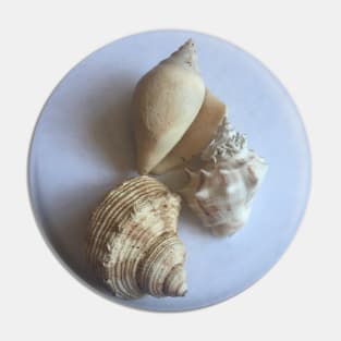 seashell Pin