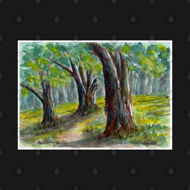 Gums in NSW - Watercolour by pops