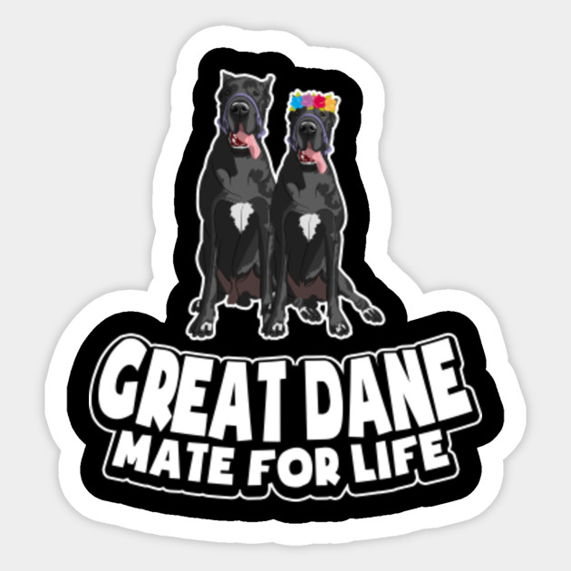 great dane love