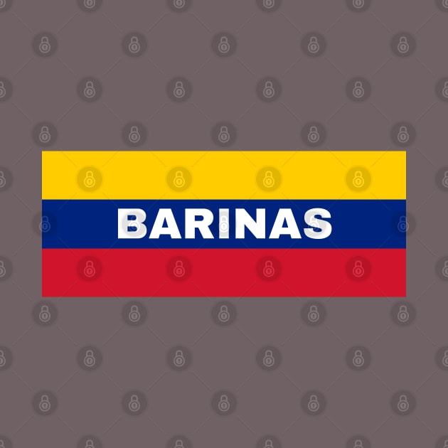 Barinas City in Venezuelan Flag Colors by aybe7elf