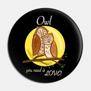 Owl you need is love!  2 cute owls Pin