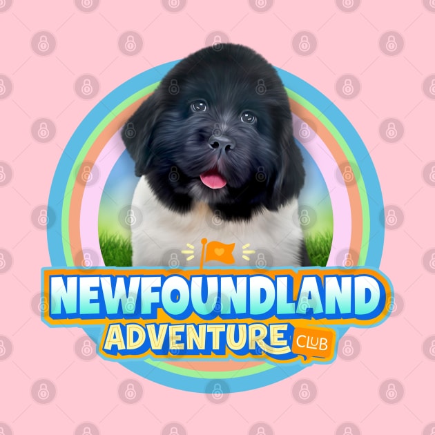 Newfoundland puppy by Puppy & cute