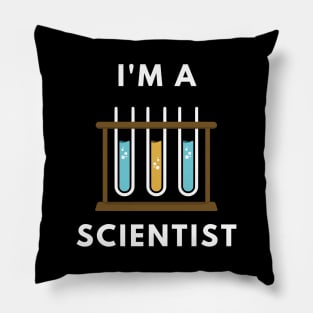 I am a Scientist - Chemistry Pillow