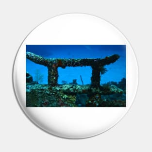 Coral Wreck Mooring Pin