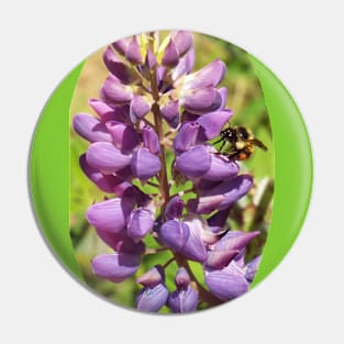 Honey Bee on Purple Lupine Pin