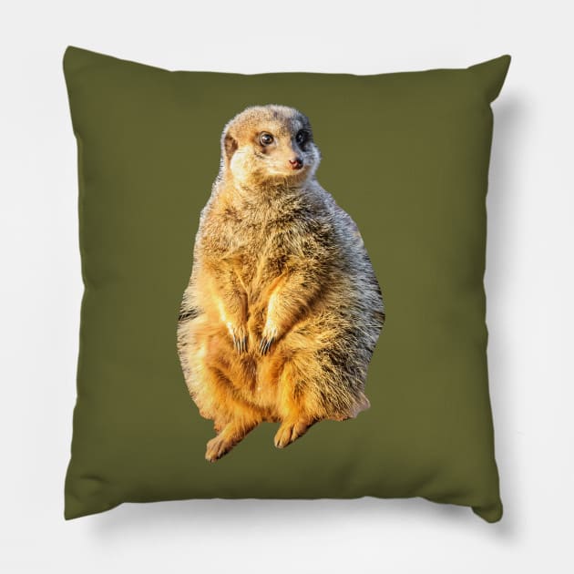 Meerkat on guard Pillow by dalyndigaital2@gmail.com