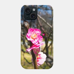 Photography - First plum blossom Phone Case