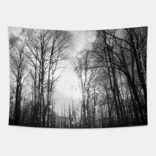 Ghost Forest Tapestry