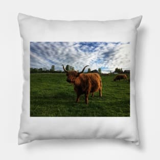 Scottish Highland Cattle Cow 2399 Pillow