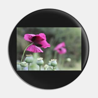 Magenta Poppies Pin