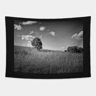 Lonely Tree landscape black and white photography Tapestry