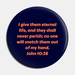 Bible Verse John 10:28 Pin