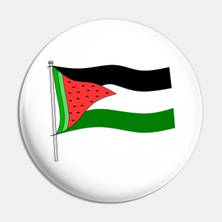 Watermelon Palestine flag Pin