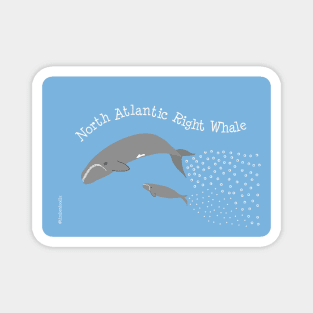 North Atlantic Right Whales Magnet