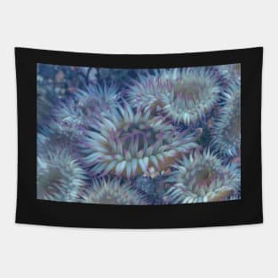 Flowers of the Sea Tapestry