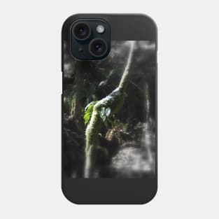 snowy Oregon ferns in trees 2 Phone Case