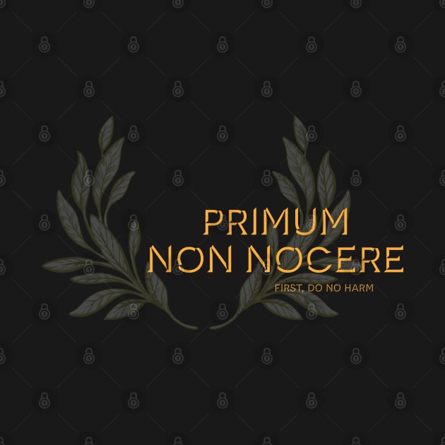 Primum non Nocere, First Do No Harm. Latin maxim. by Stonework Design Studio