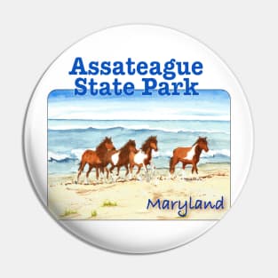 Assateague State Park, Maryland Pin