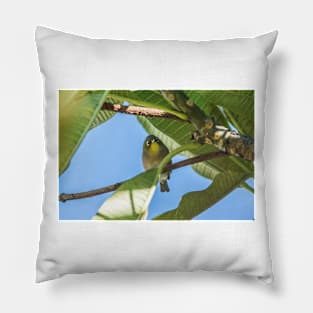 Japanese white-eye of honolulu Pillow