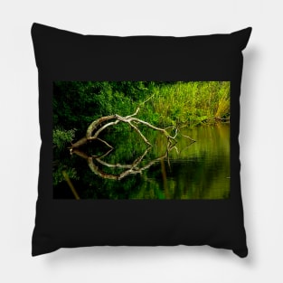 The art pond - Trébabu Pillow