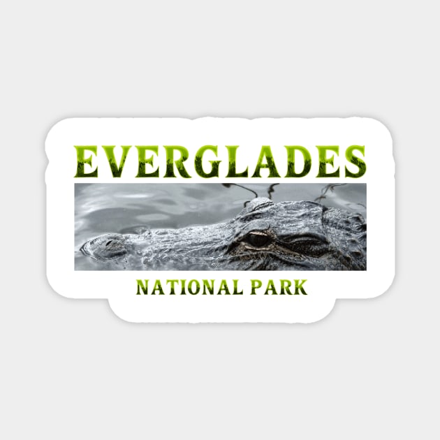 Everglades National Park Magnet by teepossible