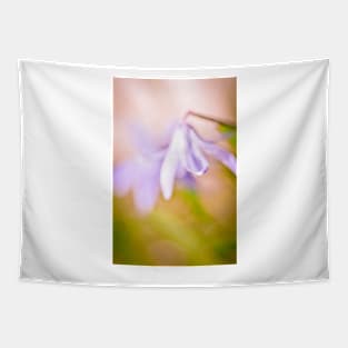 Essence of Spring, flower in spring Tapestry