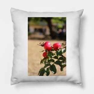 Rose hips Pillow