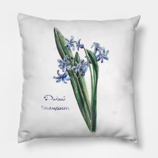 Wild hyacinth Pillow