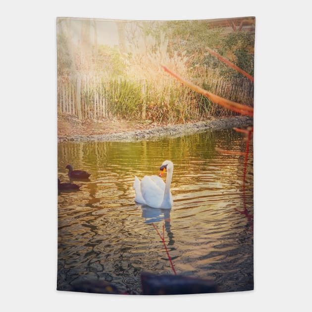 swan in golden light Tapestry by psychoshadow