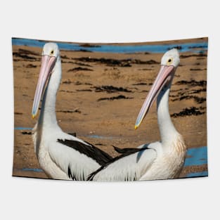 Australian Pelicans Tapestry