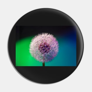 Dandelion head blue green background Pin