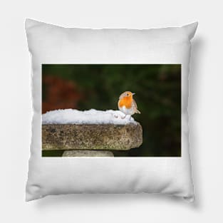 Robin Redbreast in Snow Pillow