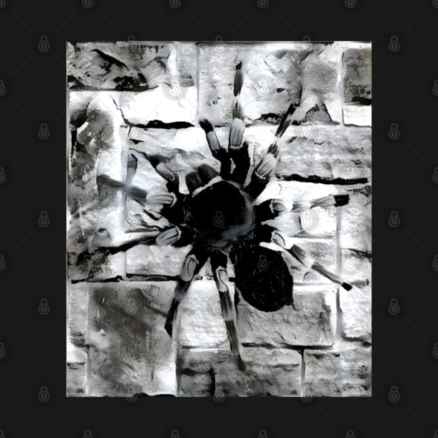 Spider Black and White Spray Paint Wall by Nuletto