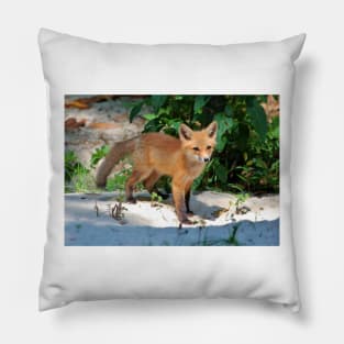 Wild Baby Pillow