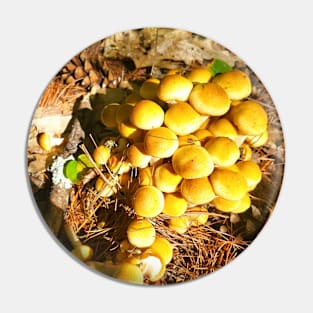 Baby Honey Mushrooms Pin