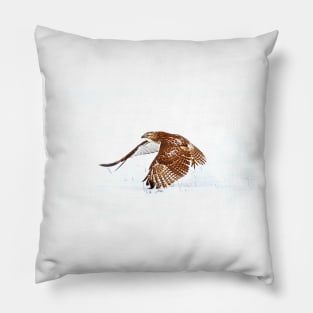 Red-tailed Hawk - Uprising Pillow