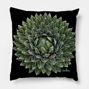 Agave Victoriae Reginae Pillow