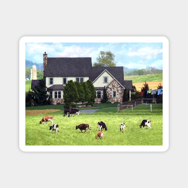 Lancaster PA - Family Farm With Cows in Pasture Magnet by SusanSavad