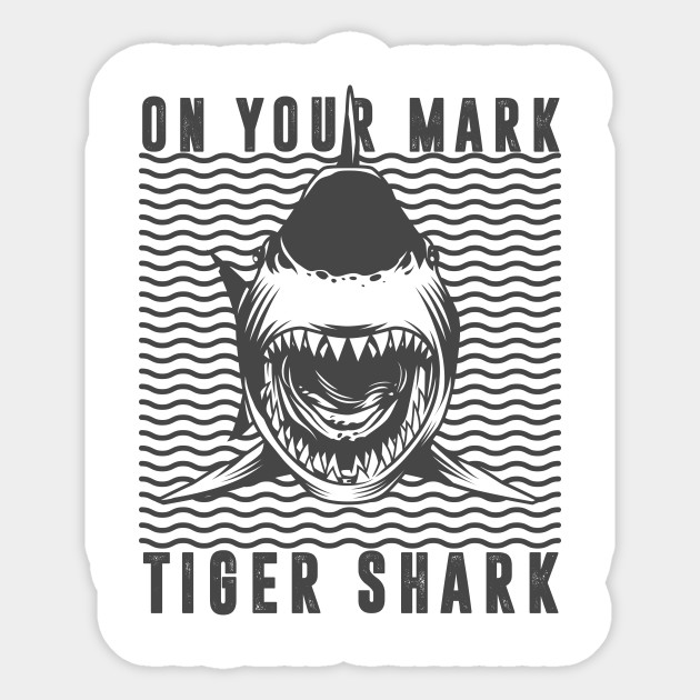 Wallpaper On Your Mark Tiger Shark On Your Mark Tiger Shark Summer Vacatio Free