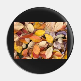 Forest Bathing with Fall Leaves Pin