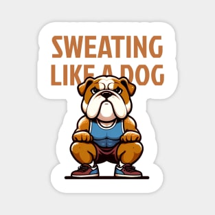 Sweating Like a Dog: Bulldog Squat Power Magnet