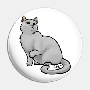 Cat - Eurpoean Shorthair - Gray Pin