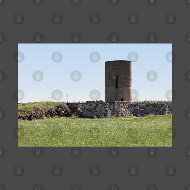 Old Silo and Rocks by MaryLinH