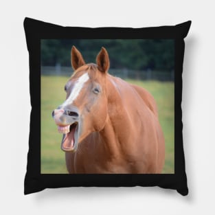 Horse Laugh Picture Pillow