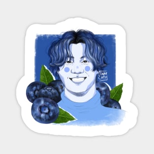 Blueberry Jungkook Magnet