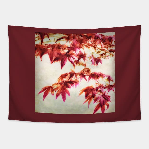 Japanese Maple Square - textured photo art Tapestry by art64