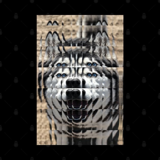 Glass Block Husky looking at you by Comic Dzyns