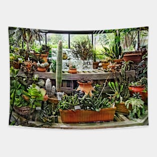 Cactus in Greenhouse Tapestry